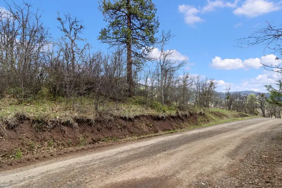 0 Dead Indian Memorial Road #1400, Ashland, OR 97520 - #2