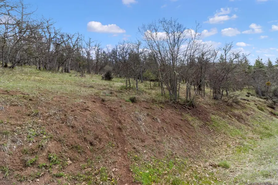 0 Dead Indian Memorial Road #1400, Ashland, OR 97520 - #3