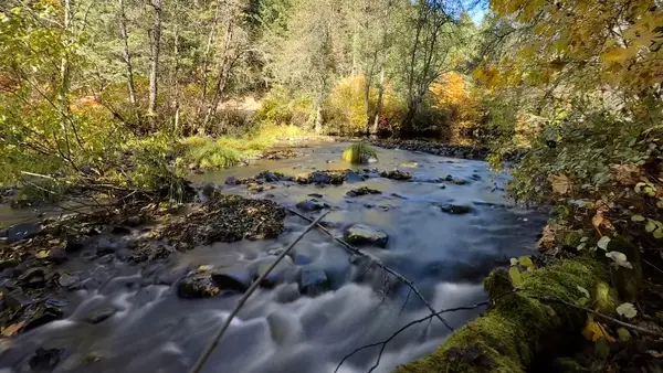 52 Dodes Creek Road, Trail, OR 97541