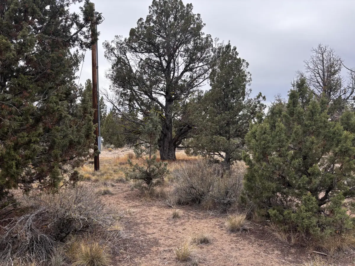14794 SE Crow Road, Prineville, OR 97754 - #1