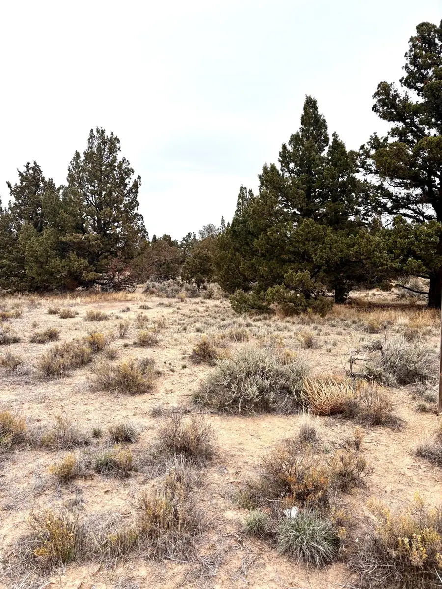 14794 SE Crow Road, Prineville, OR 97754 - #2