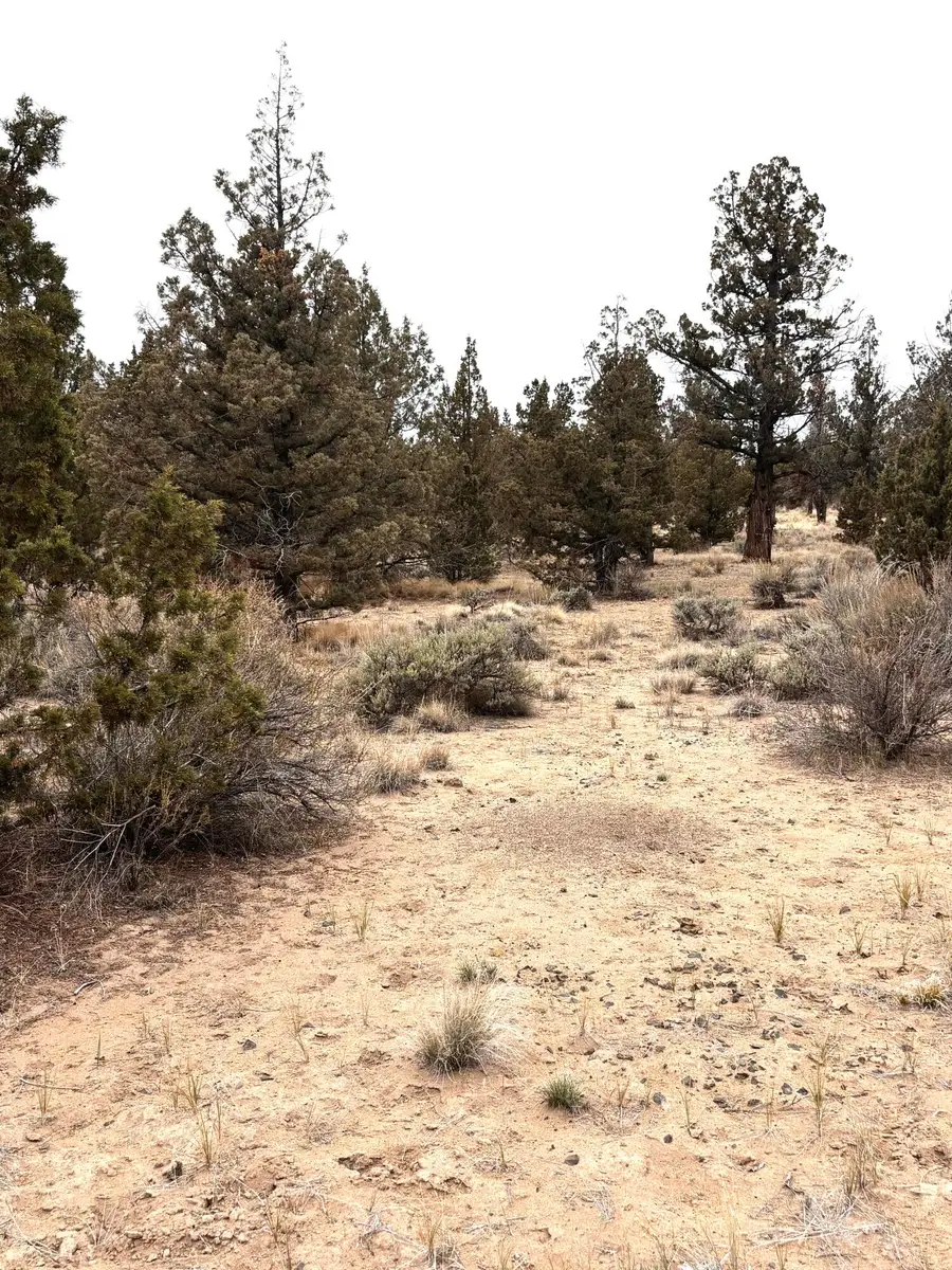 14794 SE Crow Road, Prineville, OR 97754 - #3