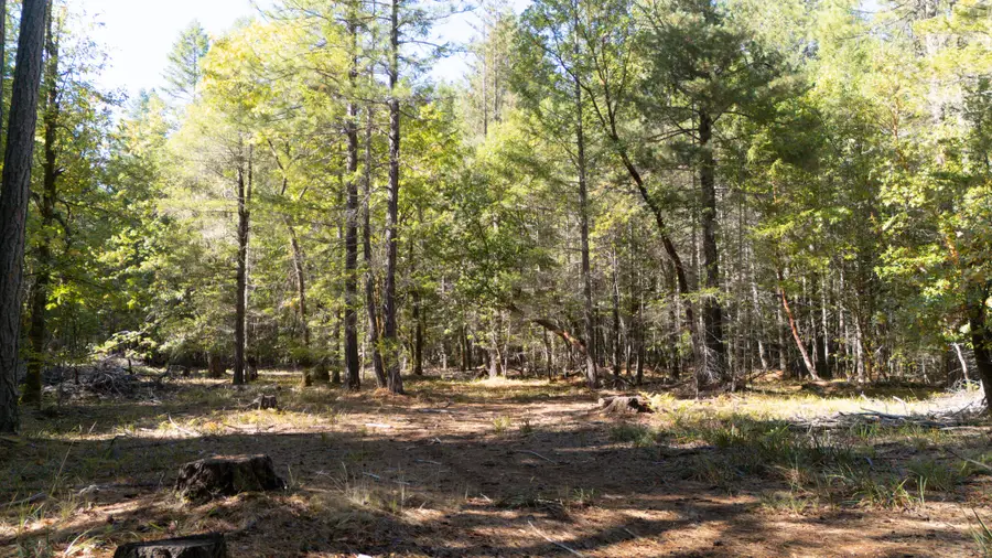1195 Idlewild Drive, Cave Junction, OR 97523 - #2