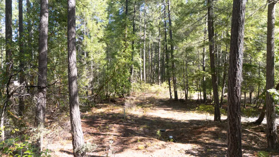 1195 Idlewild Drive, Cave Junction, OR 97523 - #3