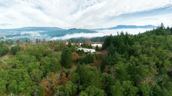 5290 Goodrich Highway, Oakland, OR 97462