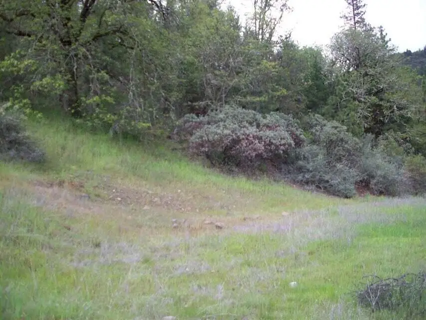 0 Train Lane, Shady Cove, OR 97539 - #2