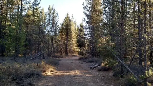 4800 Bear Flat (nf 86), Chemult, OR 97731