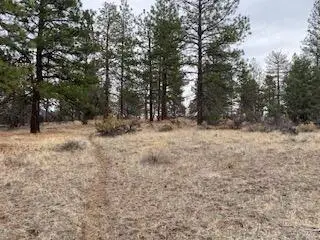 0 Widgeon, Bonanza, OR 97623 - #2