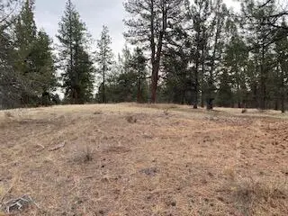 0 Widgeon, Bonanza, OR 97623 - #3