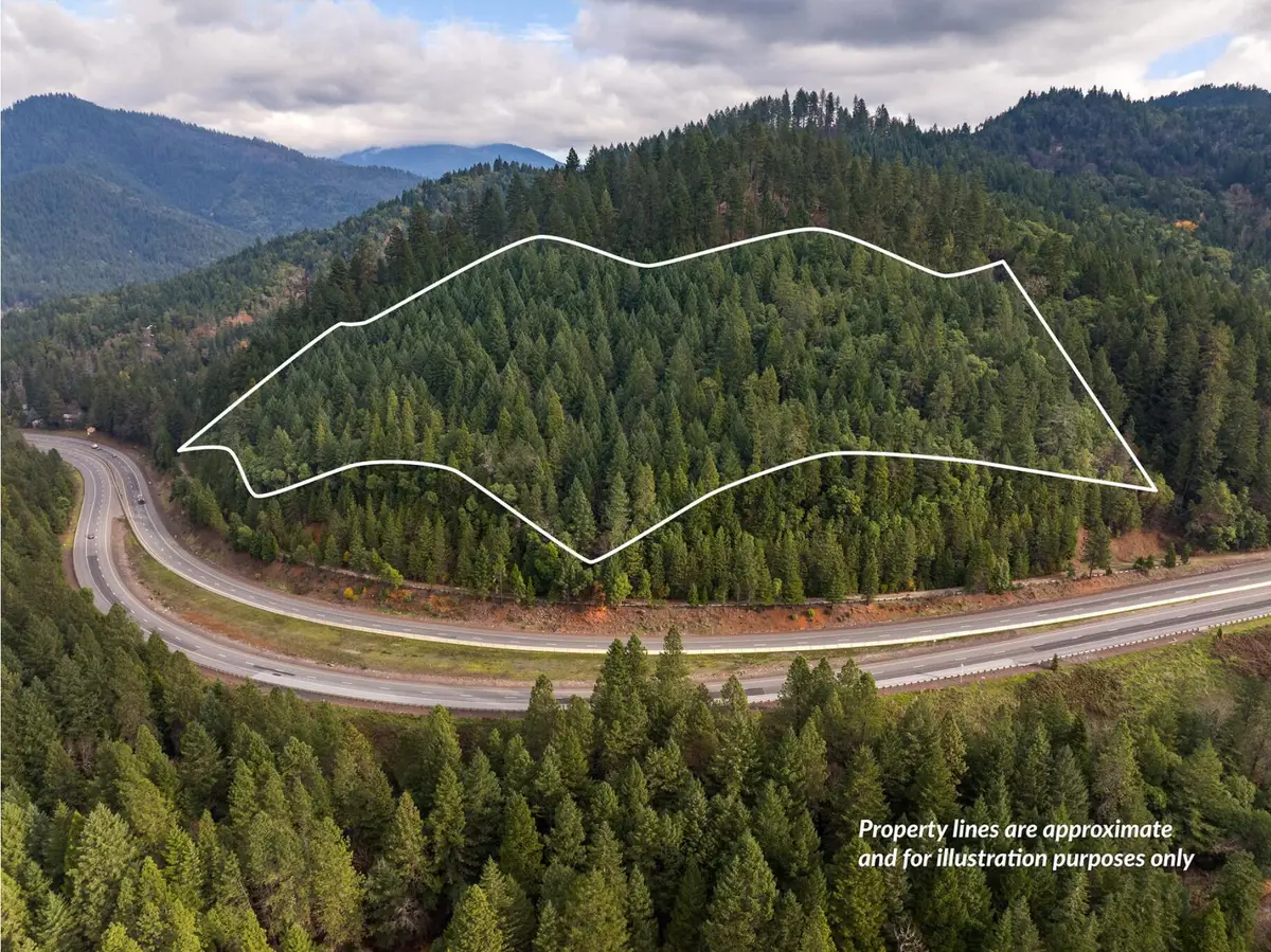 0 Sunny Valley Loop Road, Wolf Creek, OR 97497 - #1
