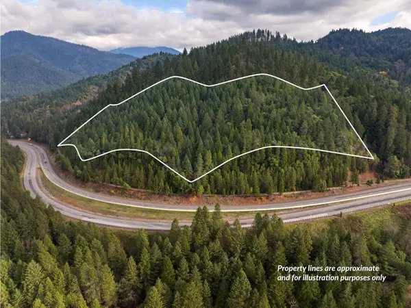 0 Sunny Valley Loop Road, Wolf Creek, OR 97497