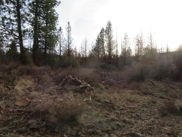 0 Polar Bear Lane #Lot 4, Bonanza, OR 97623 - #3