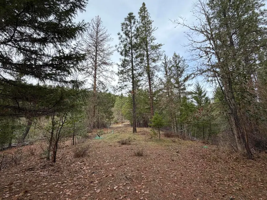 0 E Evans Creek Road #10149540, White City, OR 97503 - #3