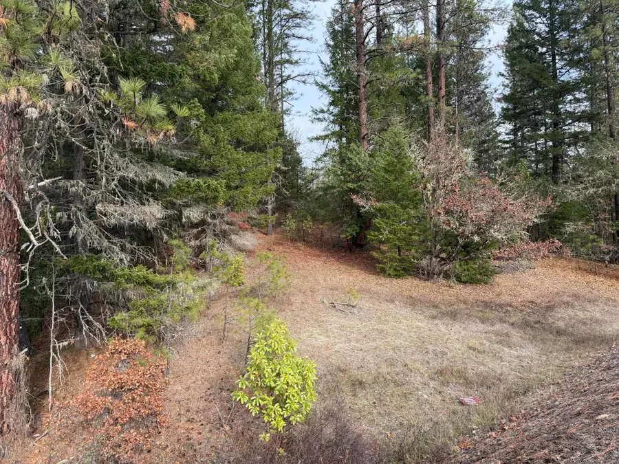 0 E Evans Creek Road #10149531, White City, OR 97503 - #2