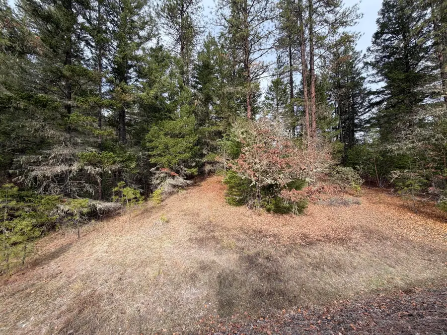 0 E Evans Creek Road #10149531, White City, OR 97503 - #3