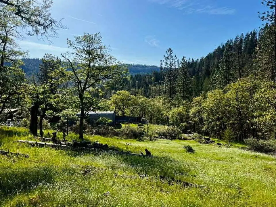 5885 Crowfoot Road, Trail, OR 97541 - #1