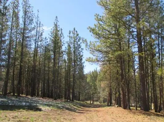Partin Drive #2-3, Beatty, OR 97621 - #1