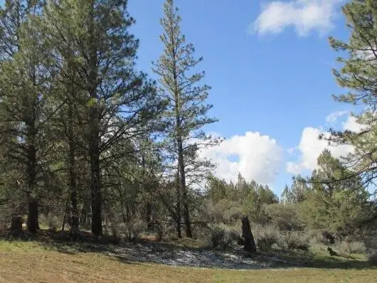 Partin Drive #2-3, Beatty, OR 97621 - #3