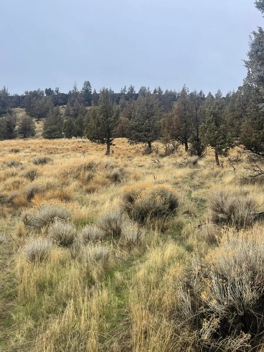 70445 NW Lower Valley Drive #100, Terrebonne, OR 97760 - #3