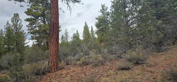 Grizzly Lane #3711-036C0-05800, Bonanza, OR 97623