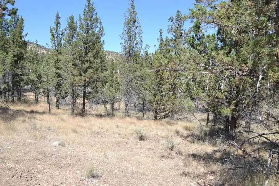 NW Irvine Avenue #TL4300, Prineville, OR 97754 - #3