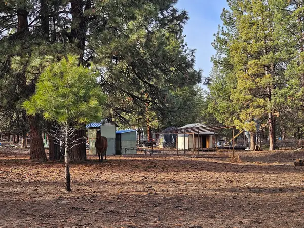 6232 Bufflehead Drive, Bonanza, OR 97623