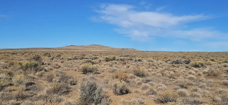 Off Lost Forest Rd #TL500, Christmas Valley, OR 97641 - #2