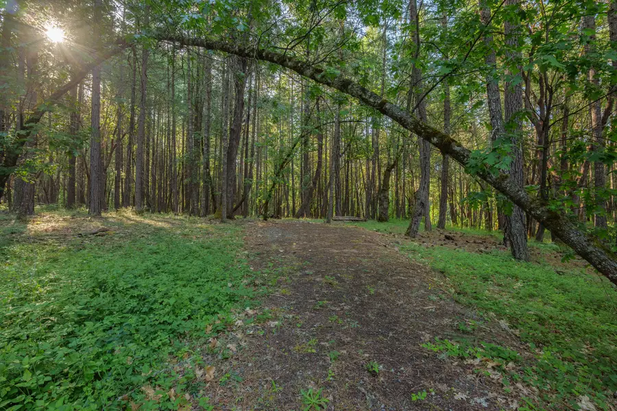 355 Firview Lane, Wilderville, OR 97543 - #3