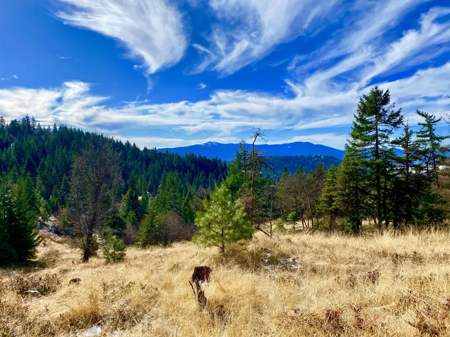 12681 Dead Indian Memorial Road, Ashland, OR 97520 - #2