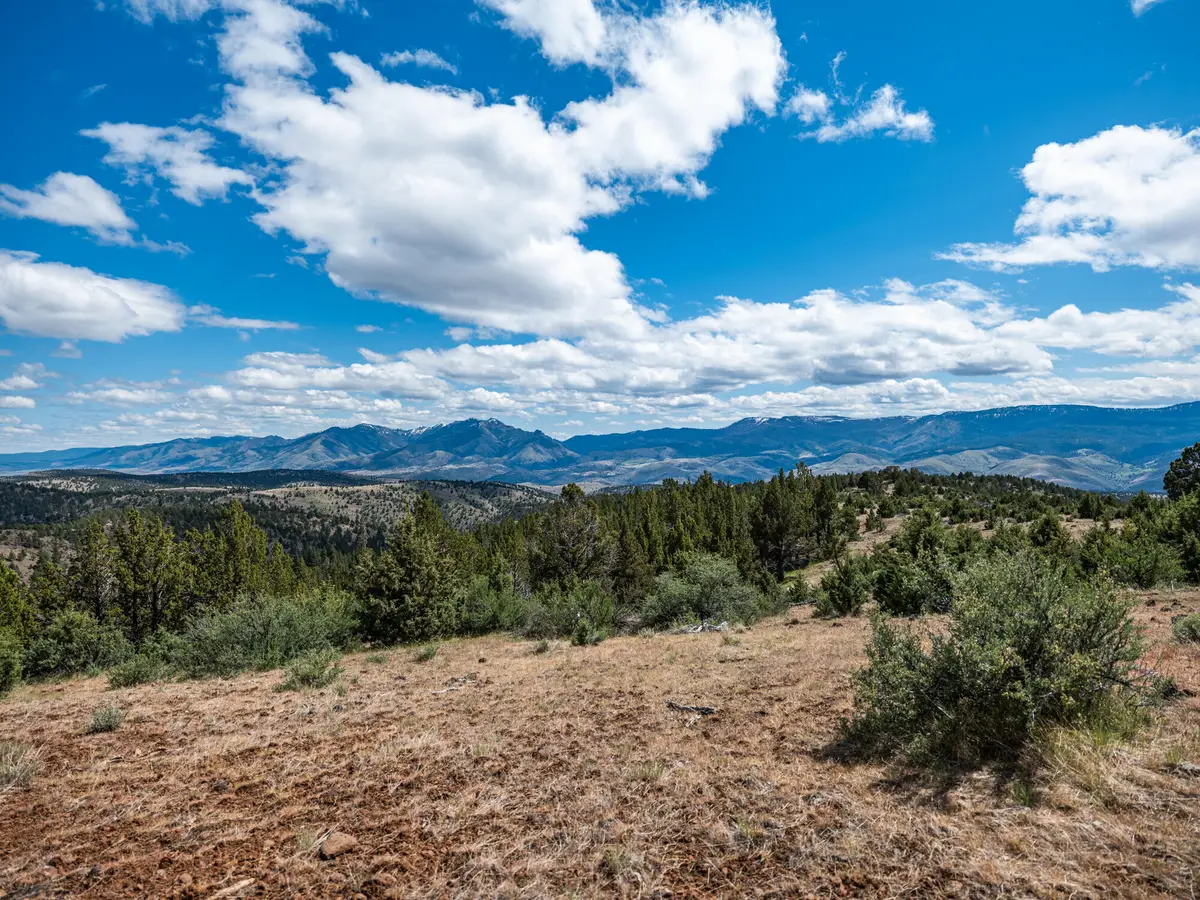 Belshaw Creek Road, Mount Vernon, OR 97865 - #1
