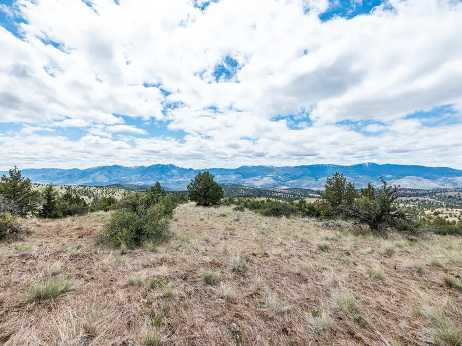 Belshaw Creek Road, Mount Vernon, OR 97865 - #2