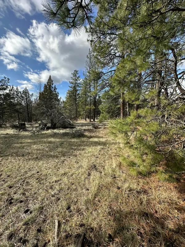 0 Widgeon Drive #Lot 3, Bonanza, OR 97623