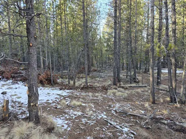 16852 Elsinore Rd Road #45, Bend, OR 97707