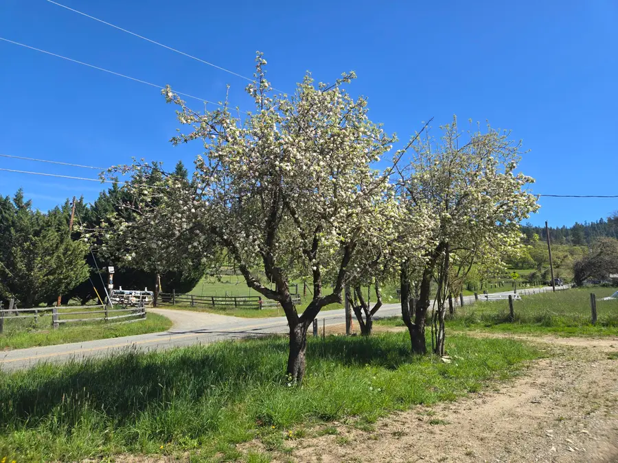 1065 Panther Gulch Road, Williams, OR 97544 - #3