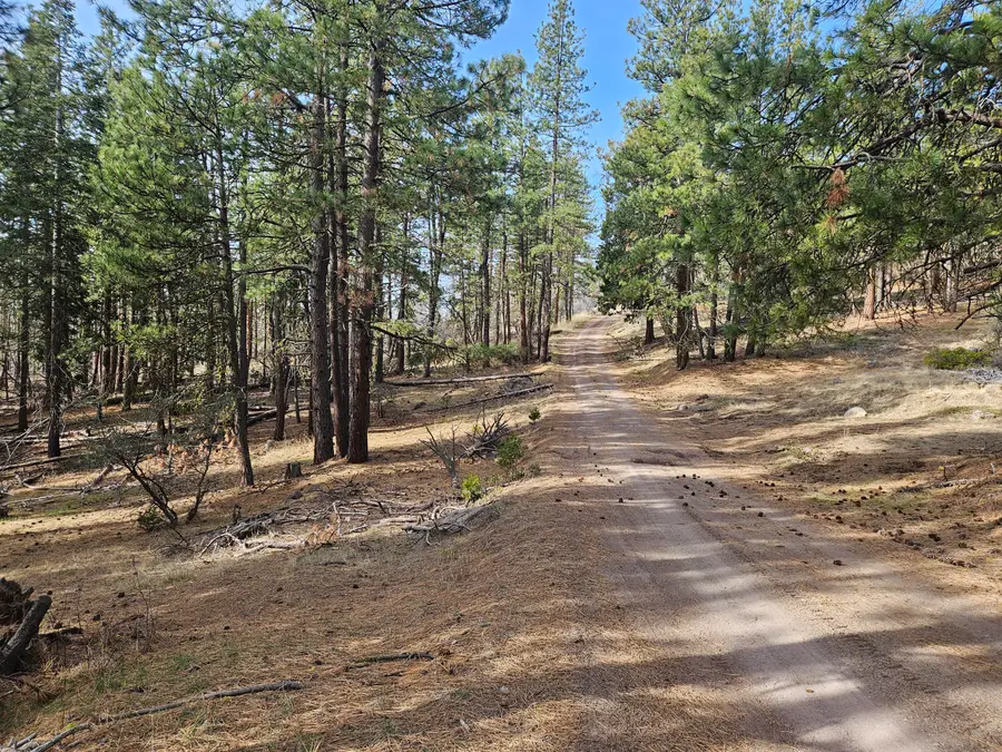 0 Seal Lane #8, Bonanza, OR 97623 - #2