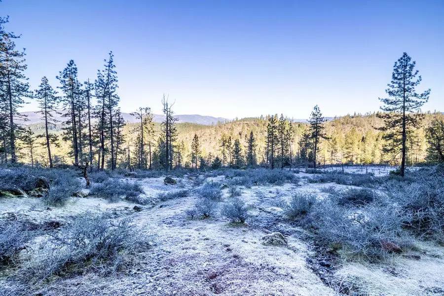 0 Waldo Road #403, Obrien, OR 97534 - #3
