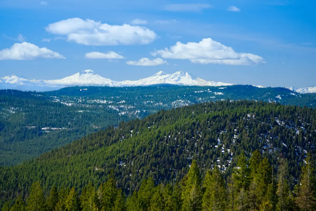 SE Opal Creek Road, Ashwood, OR 97711 - #1