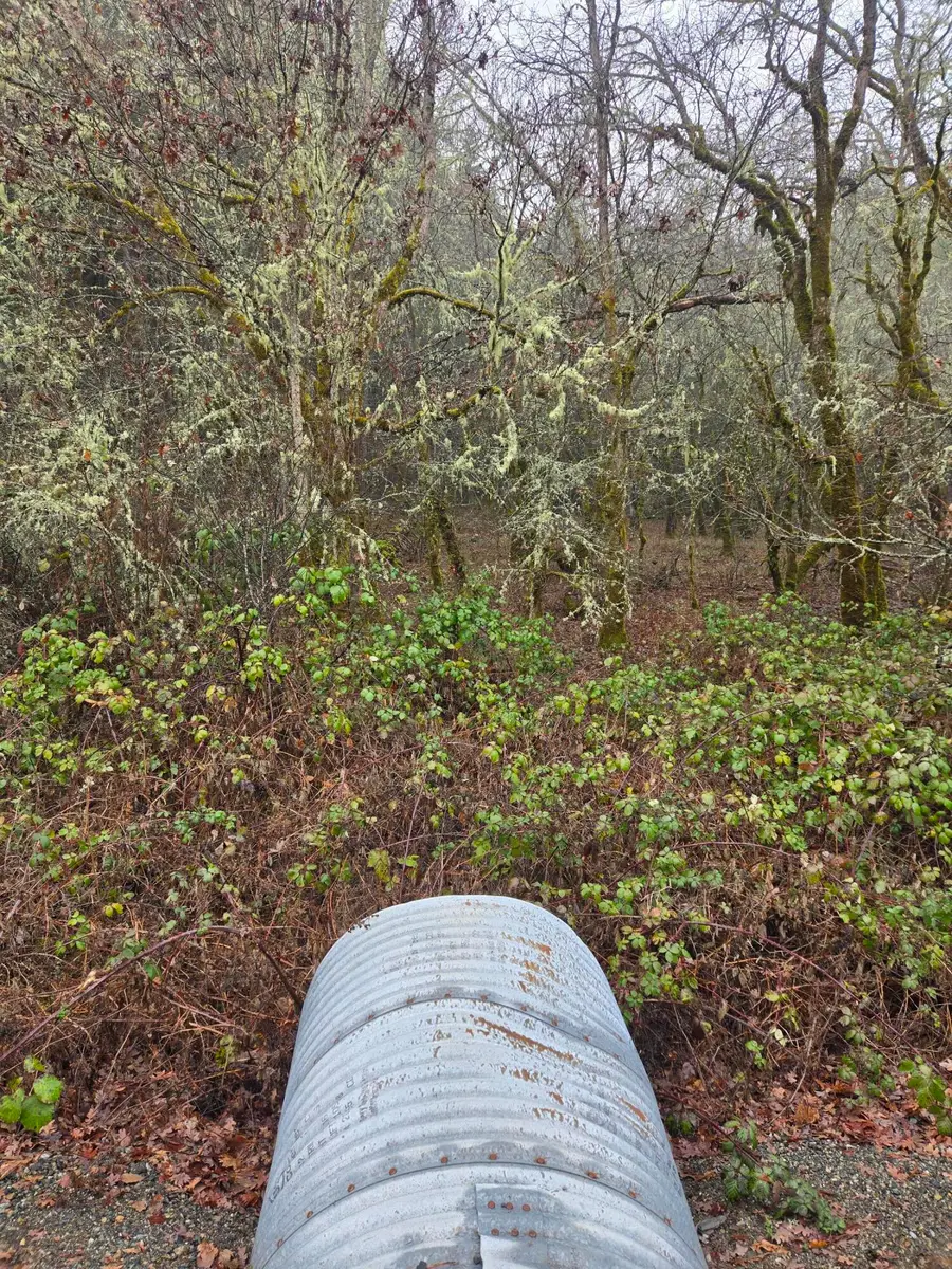 0 Mcmullen Creek Road #TL205, Selma, OR 97538 - #3