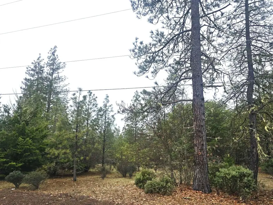 5322 Rockydale Road, Cave Junction, OR 97523 - #2