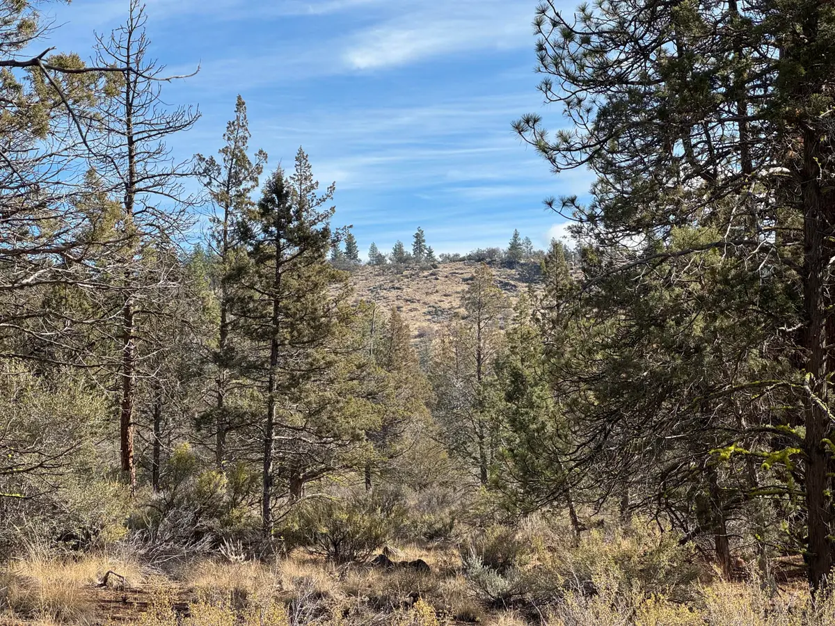 0 Golden Eagle Drive #23 & 24, Bonanza, OR 97623 - #1