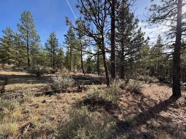 0 Pheasant Lane #9, Chiloquin, OR 97624