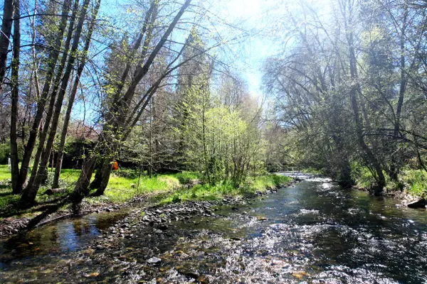 3356 Little Applegate Road, Jacksonville, OR 97530