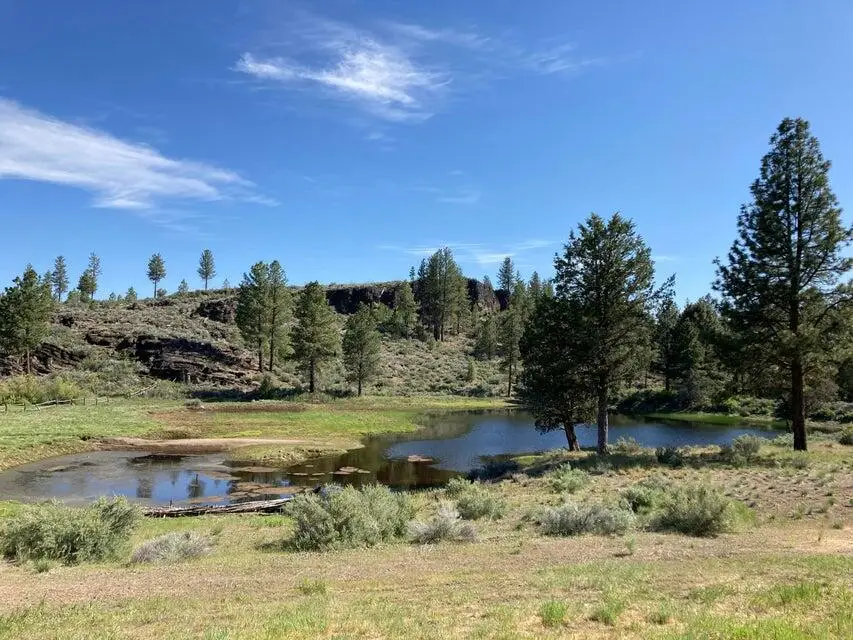 33341 Indian Lake Drive, Sprague River, OR 97639 - #3