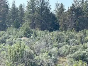 0 Council Butte #Lot 7, Beatty, OR 97621