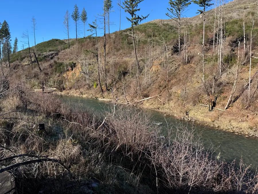 25497 Taylor Park Road Se, Lyons, OR 97358 - #2