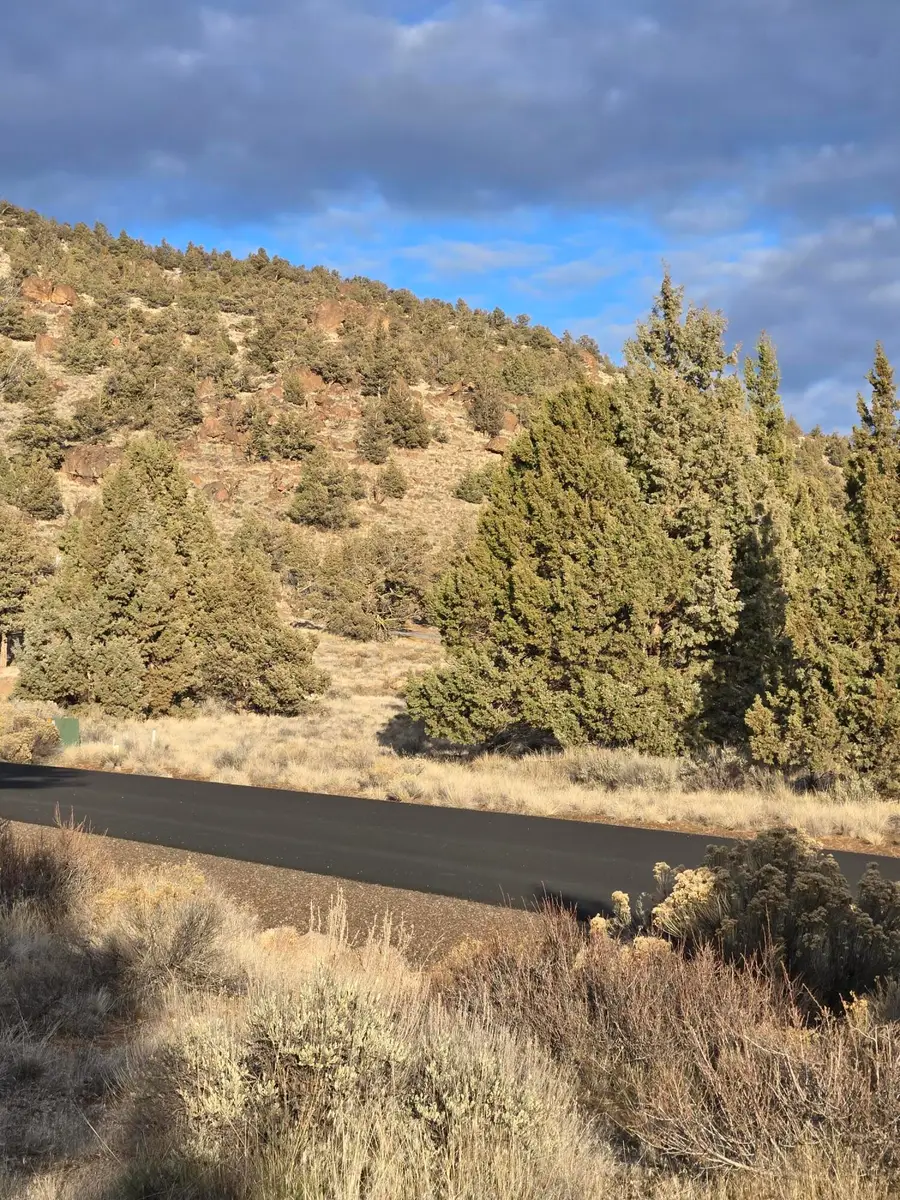 9674 SE Pavati Drive #Lot 41, Prineville, OR 97754 - #3