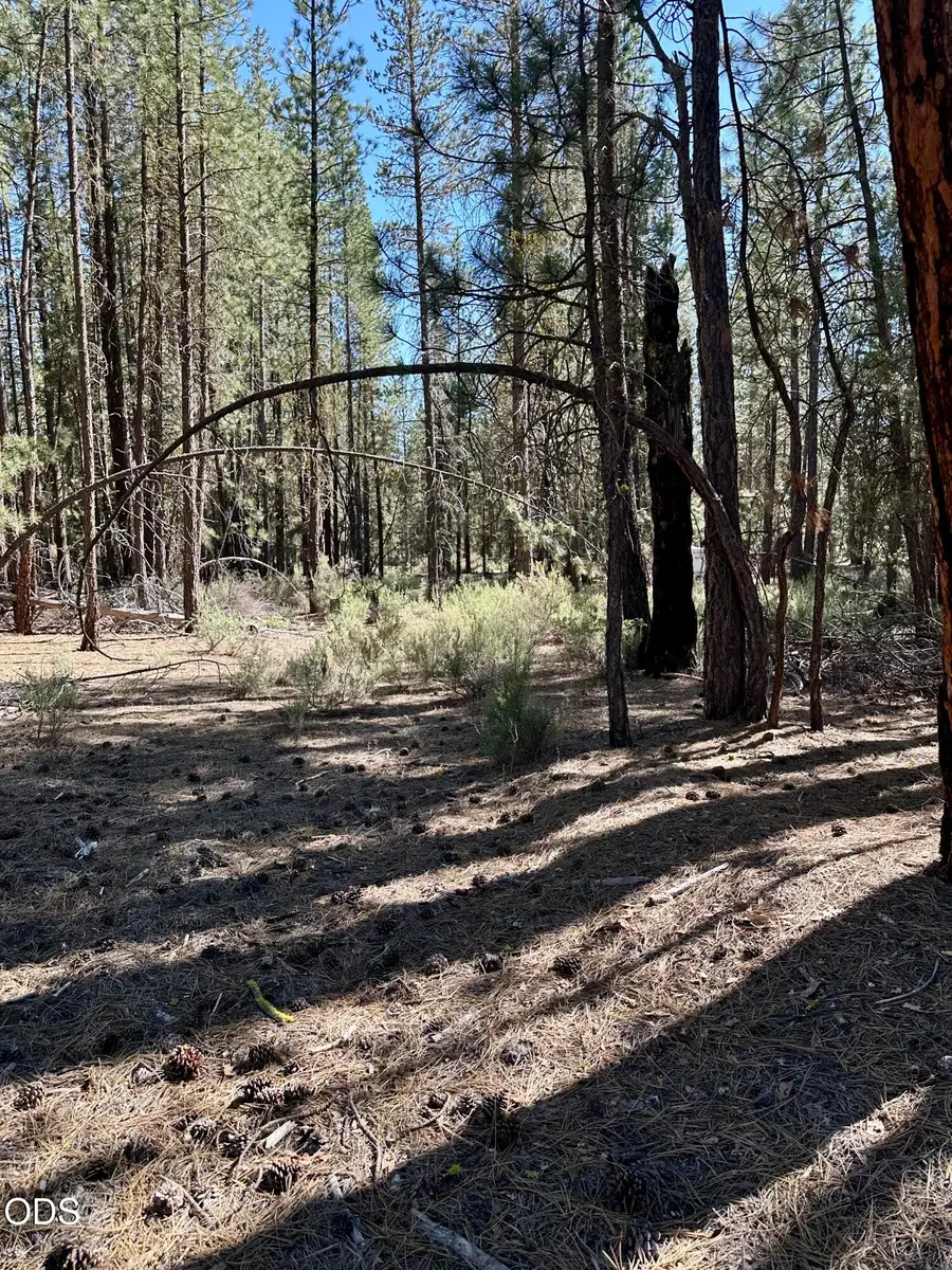 Corbell Drive #Lot 13, Chiloquin, OR 97624 - #3