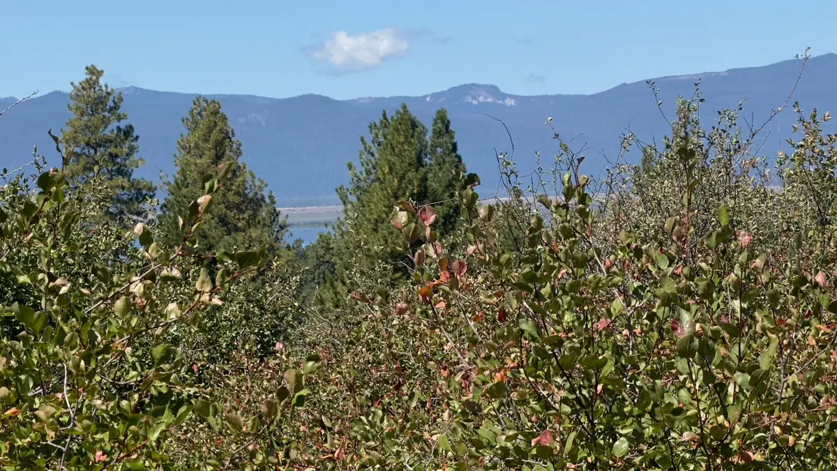 David St #Lot 3, Klamath Falls, OR 97601 - #1
