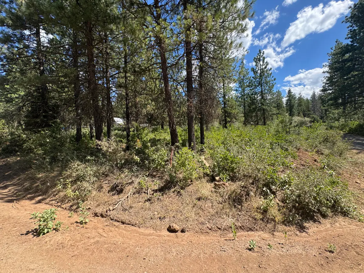 0 Grizzly Lane #9, Bonanza, OR 97623 - #1