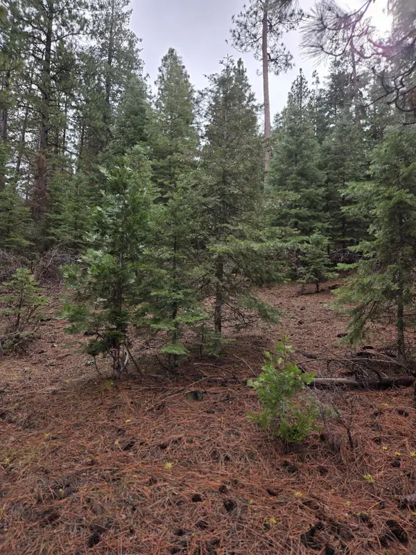 0 E Yak / Hwy 140 Lane #Lot 1, Bonanza, OR 97623